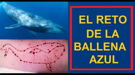 ballena azul suicidio.